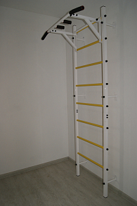 Шведская стенка Trainer Home М-ТЗХ-Д