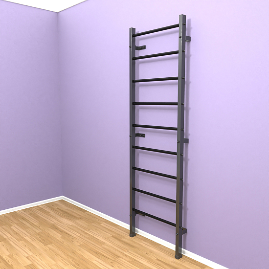 картинка Шведская стенка "LittleSport" (черный*черный) от магазина Лазалка