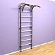 картинка Шведская стенка «LittleSport» Graphite Pull-Up белые ступени от магазина Лазалка